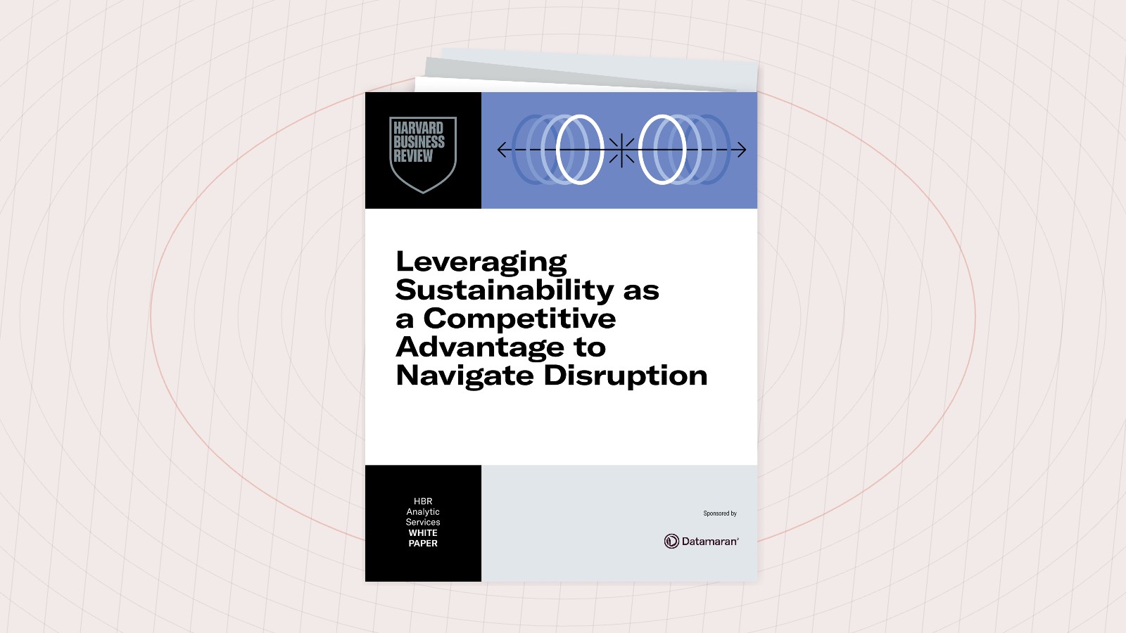 Cover of Datamaran white paper: Leveraging Sustainability as a Competitive Advantage to Navigate Disruption.