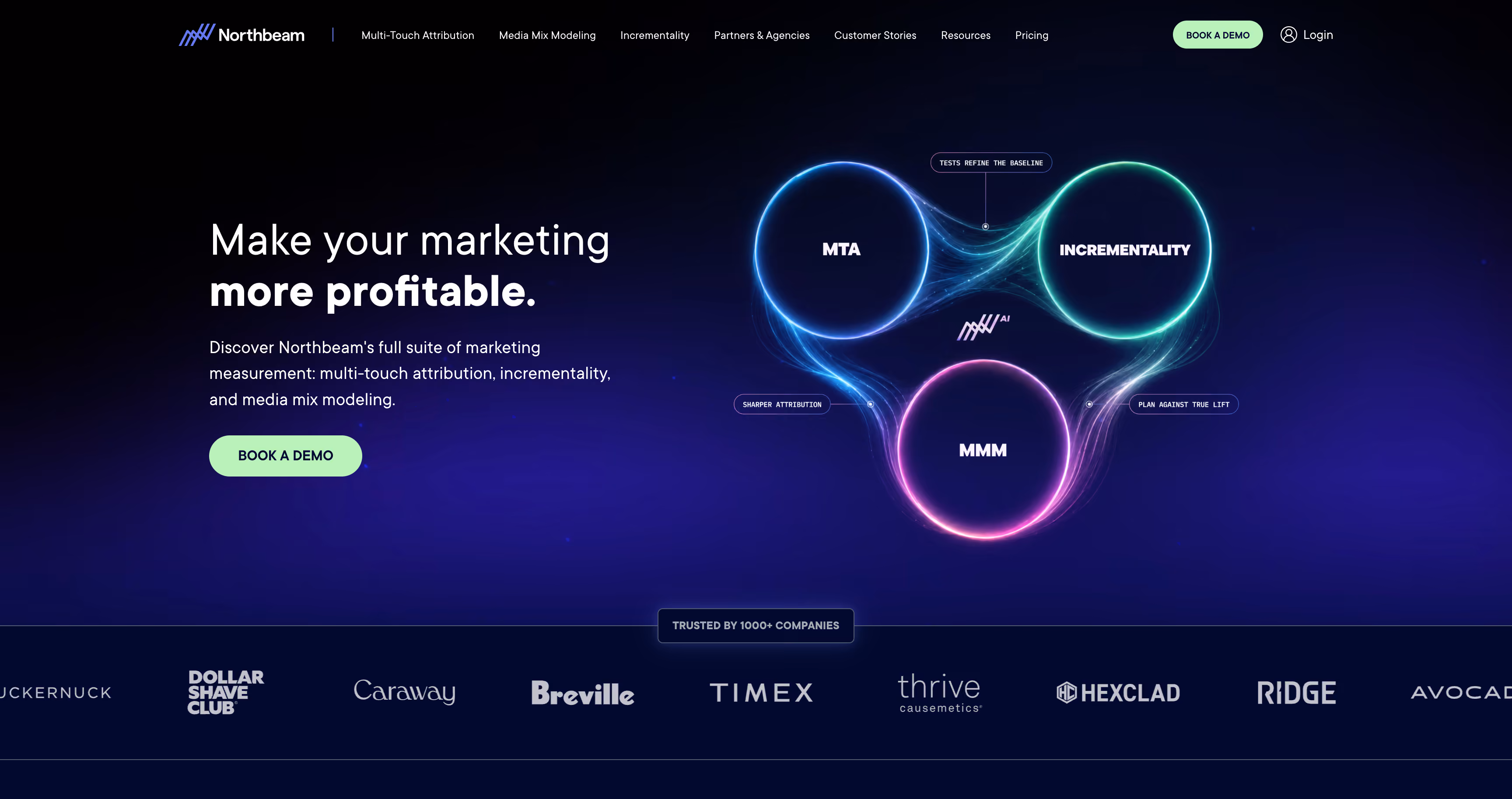 Northbeam homepage presenting its paid-media measurement platform for high-spend DTC brands