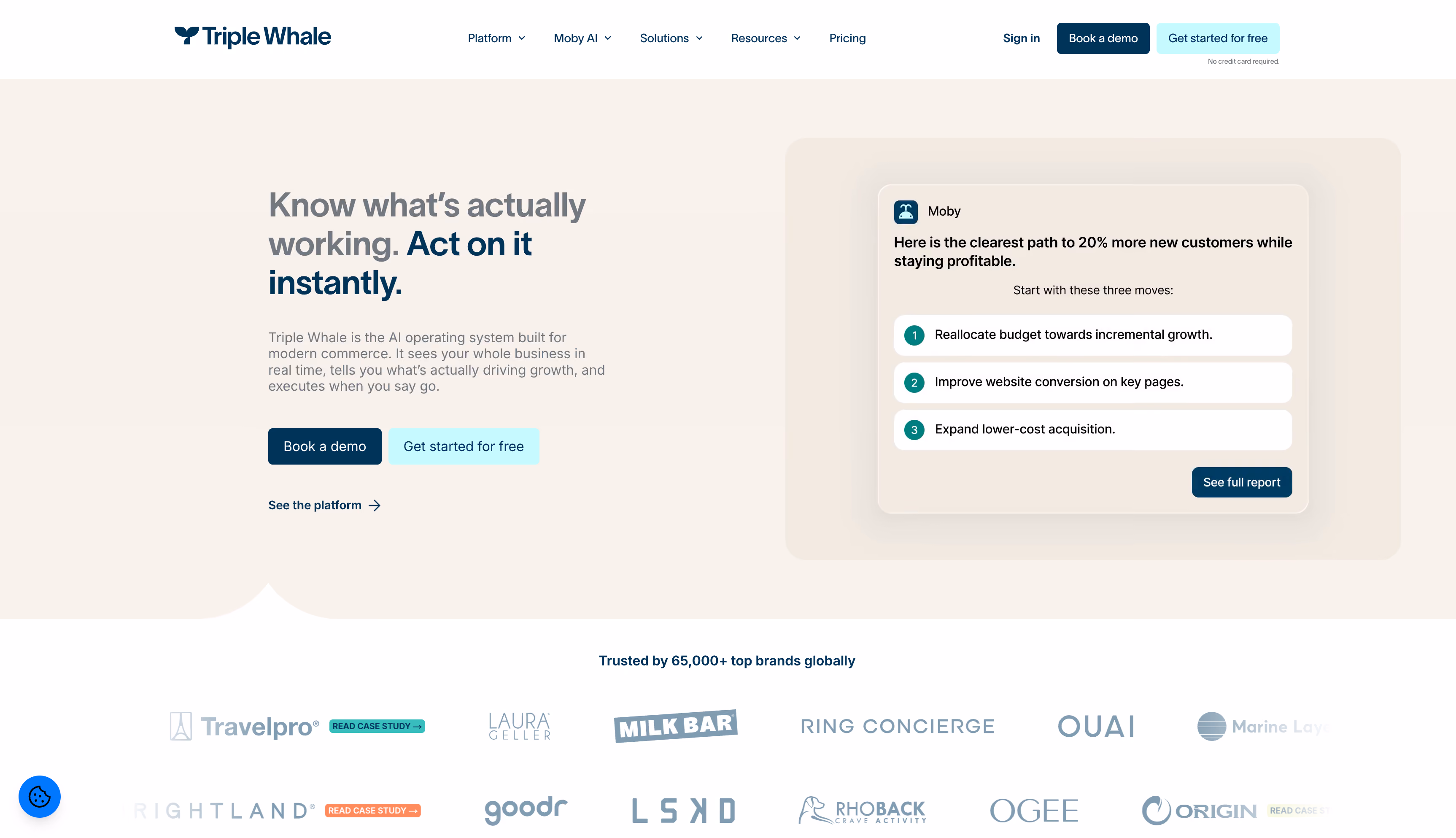 TripleWhale website homepage, a closed-loop call and lead attribution platform for lead-gen businesses