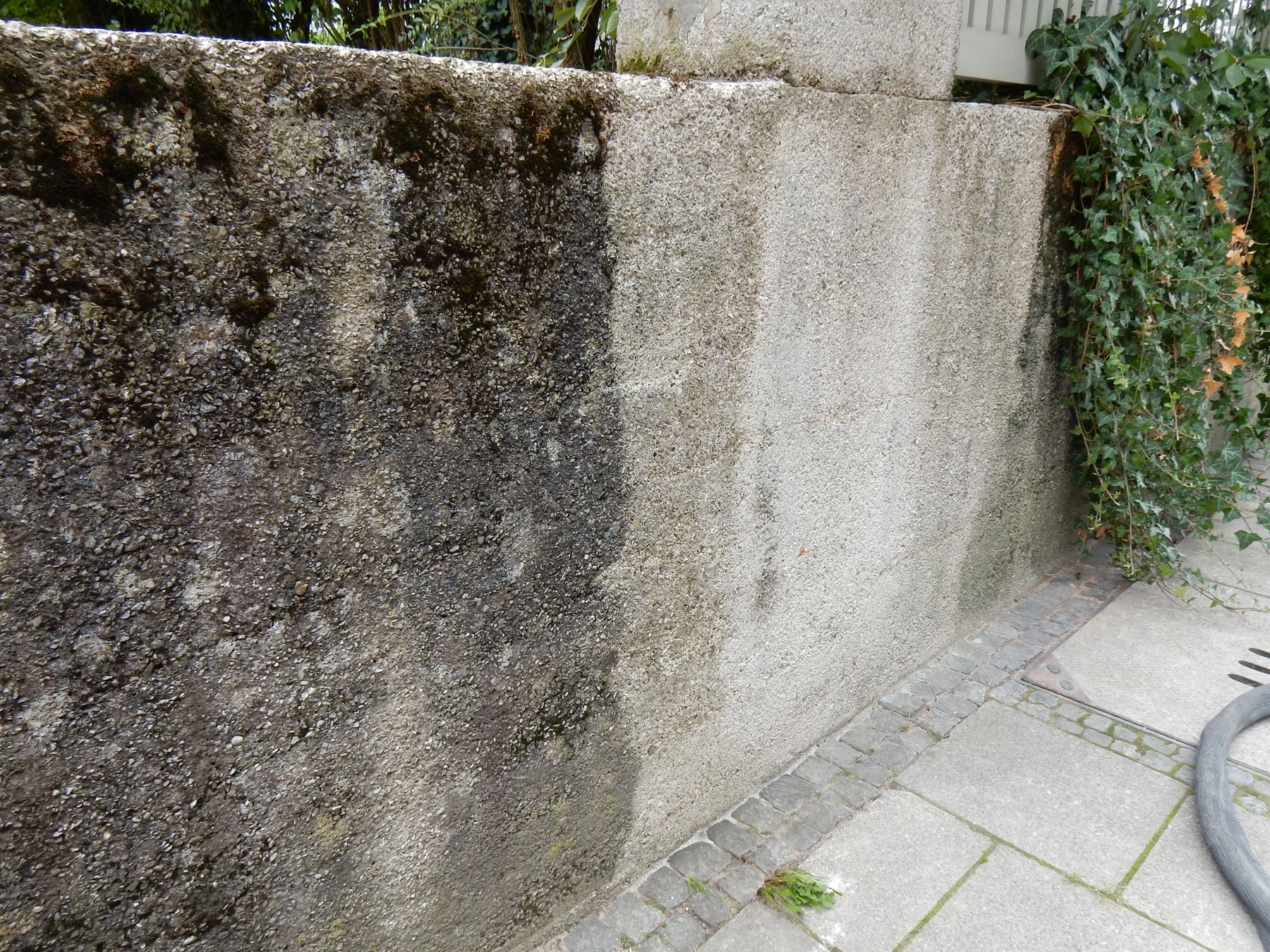 Betonflächen reinigen