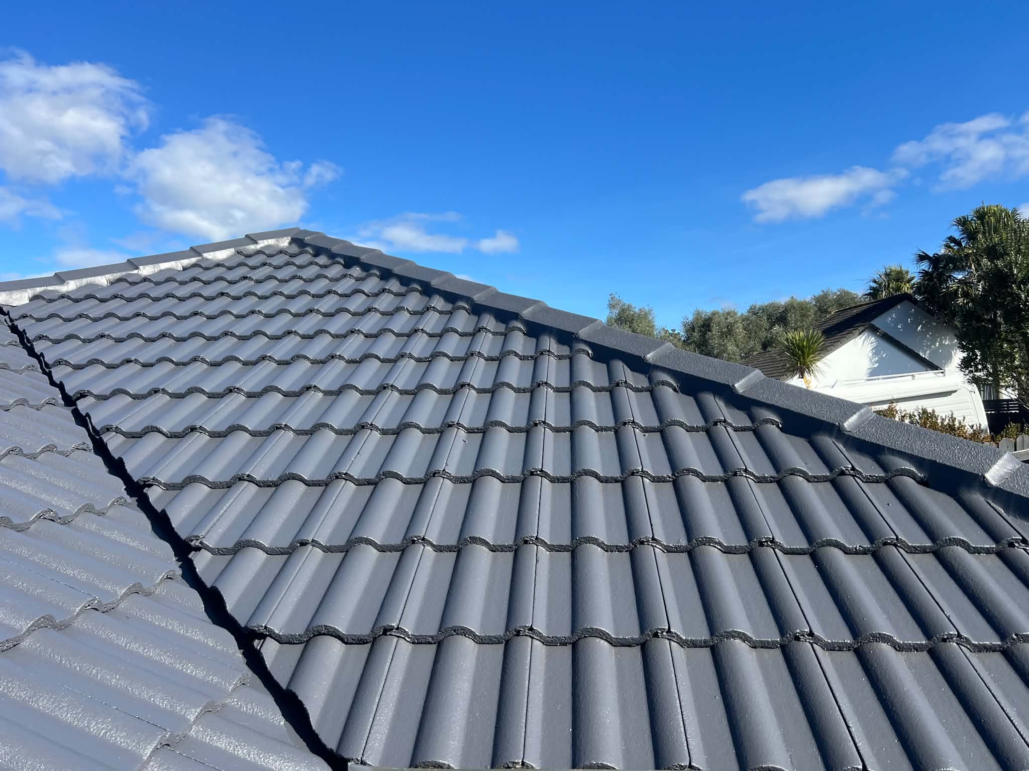 Roof restoration