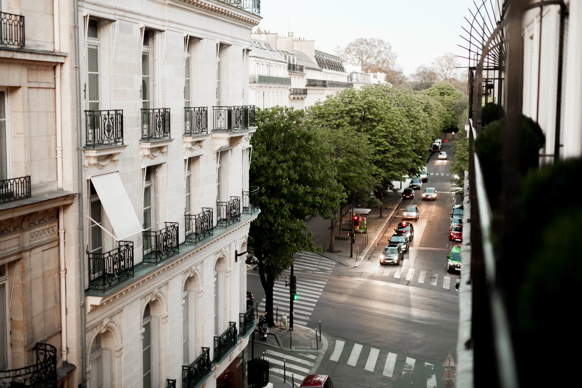 Vue d'une rue parisienne bordée d'arbres avec des voitures circulant et des bâtiments haussmanniens avec balcons en fer forgé de chaque côté.