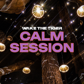 Visitor gazing up at trees and stars in the immersive forest set during a Wake The Tiger Calm Session