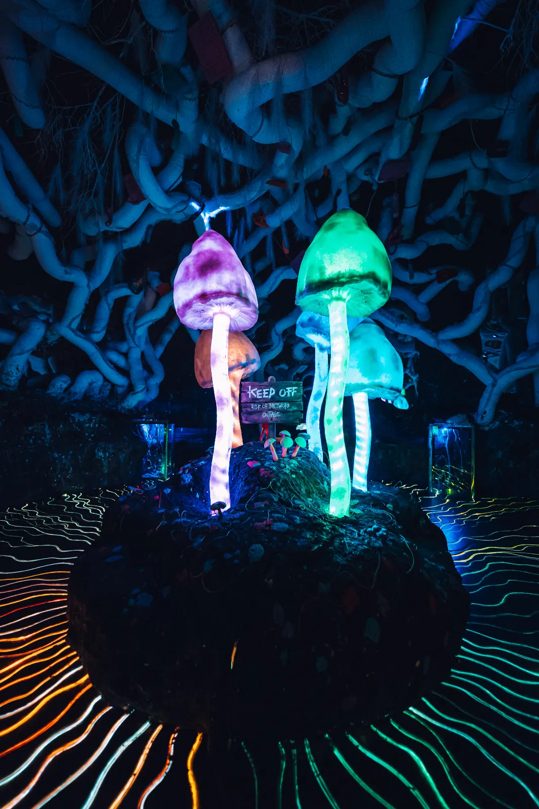 Adult visitors exploring the vibrant immersive art during After Hours at Wake The Tiger