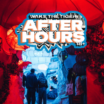 Woman laughing while going down a slide surrounded by vibrant immersive art at Wake The Tiger After Hours