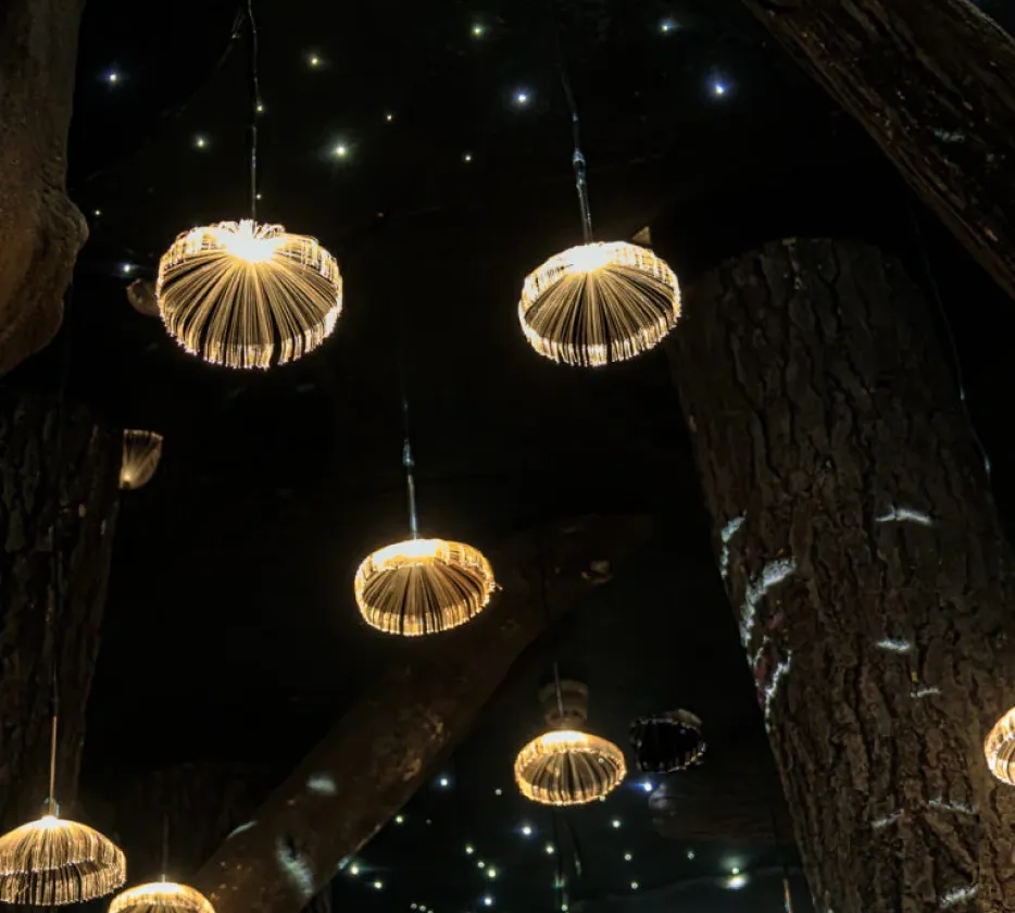 Glowing jellyfish-shaped pendant lights hanging from a dark ceiling with twinkling star-like lights and tree trunks.