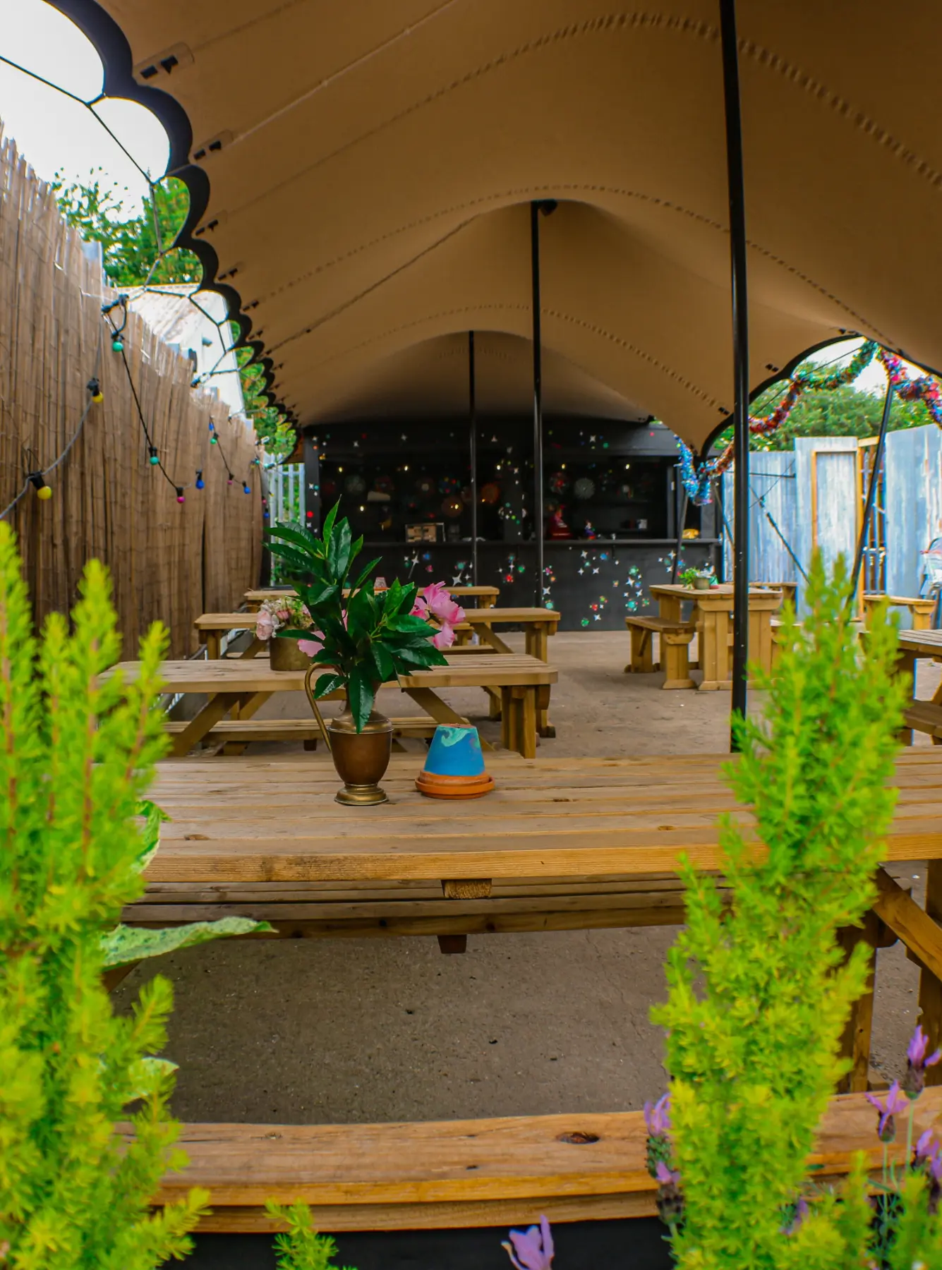 Junkyard outdoor space at Wake The Tiger