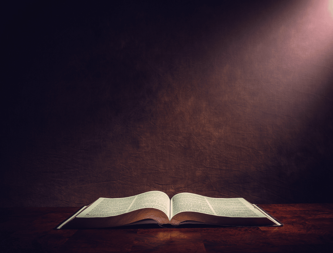 Bible & Doctrine