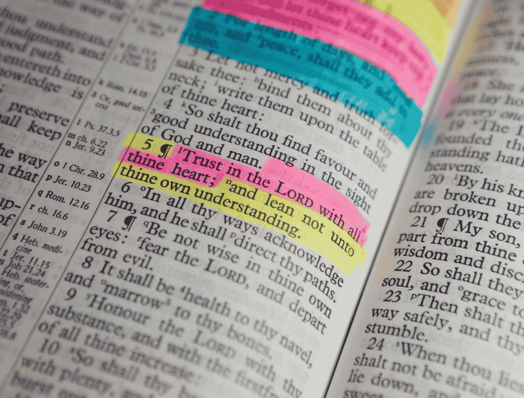 Which Bible Translation Should You Read? A Simple Guide to 8 Popular Versions