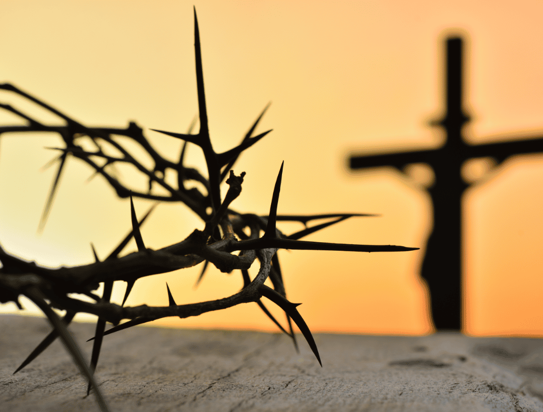 Read the Life of Jesus in 30 Days: A Free Plan With Video and Audio