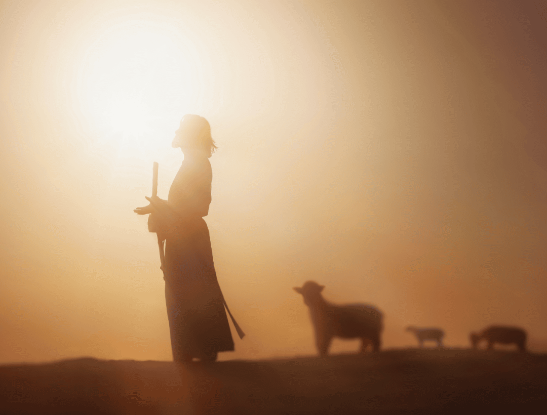 Who Is Jesus? 7 Trusted Videos, Podcasts, and Bible Guides
