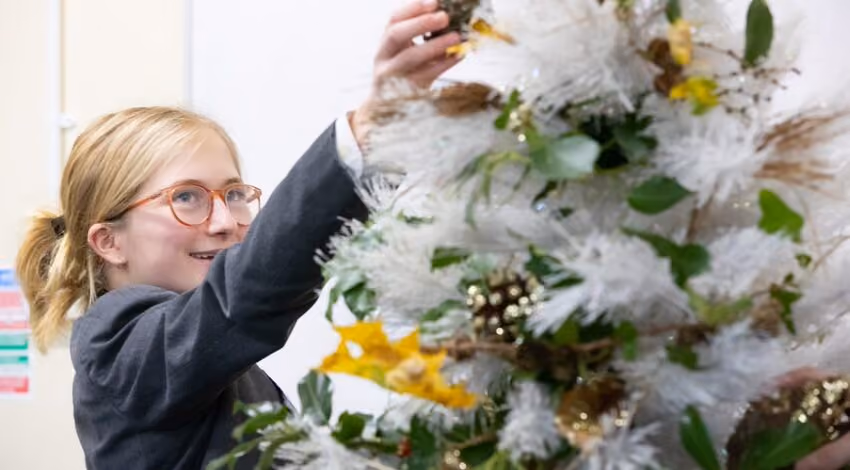 Kingsley School tackles the Christmas Tree Conundrum