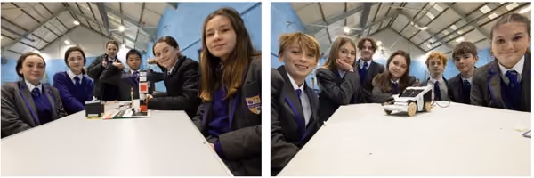 Stem challenge images