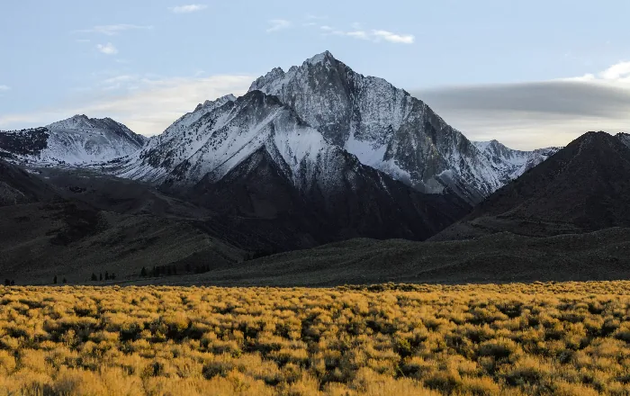 Snow-covered mountain above a golden grassland at dusk