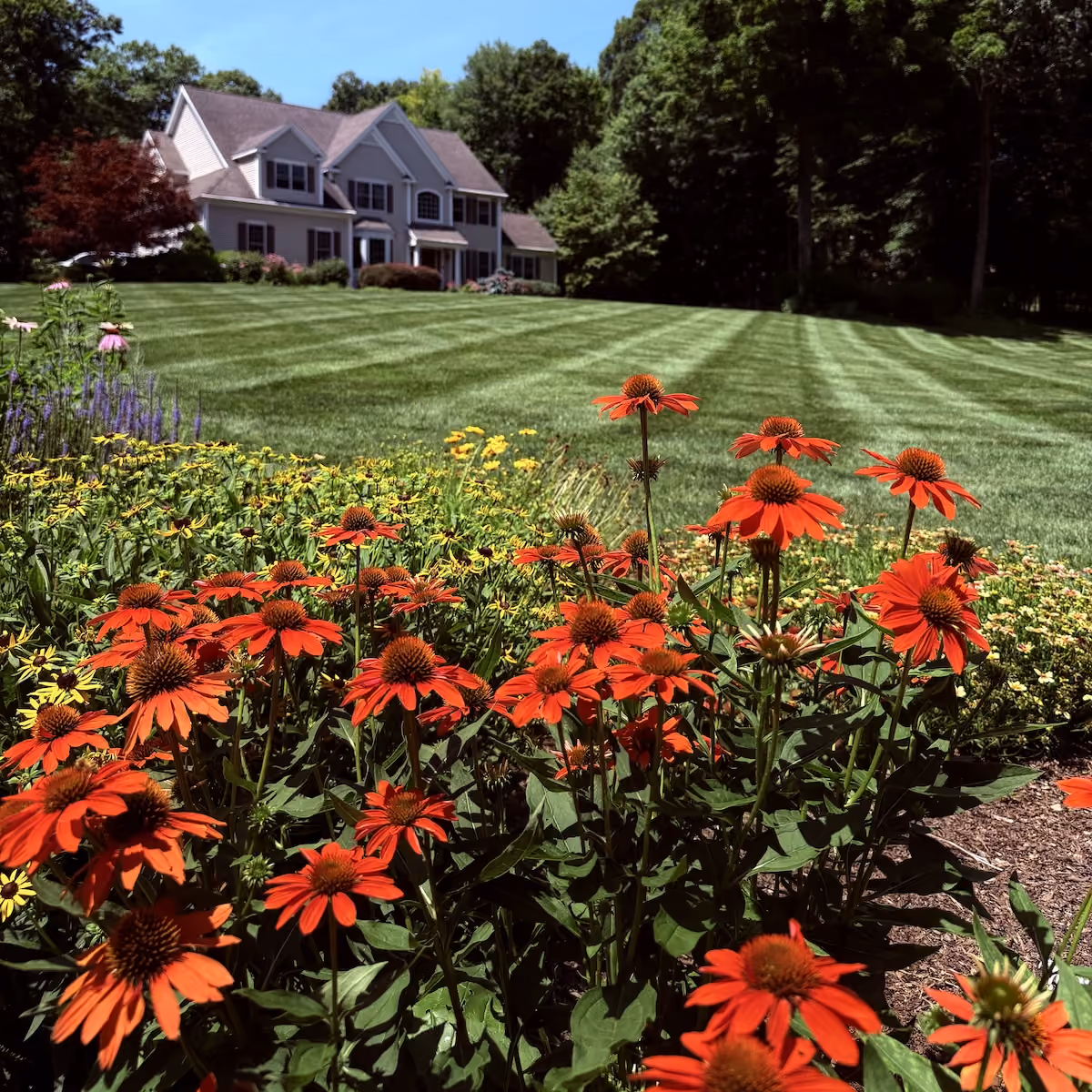 Classic Outdoors property maintenance near me in Warren, Connecticut