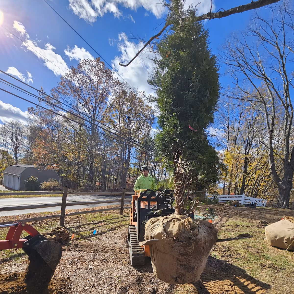 Professional landscape transformation in Litchfield County, Connecticut