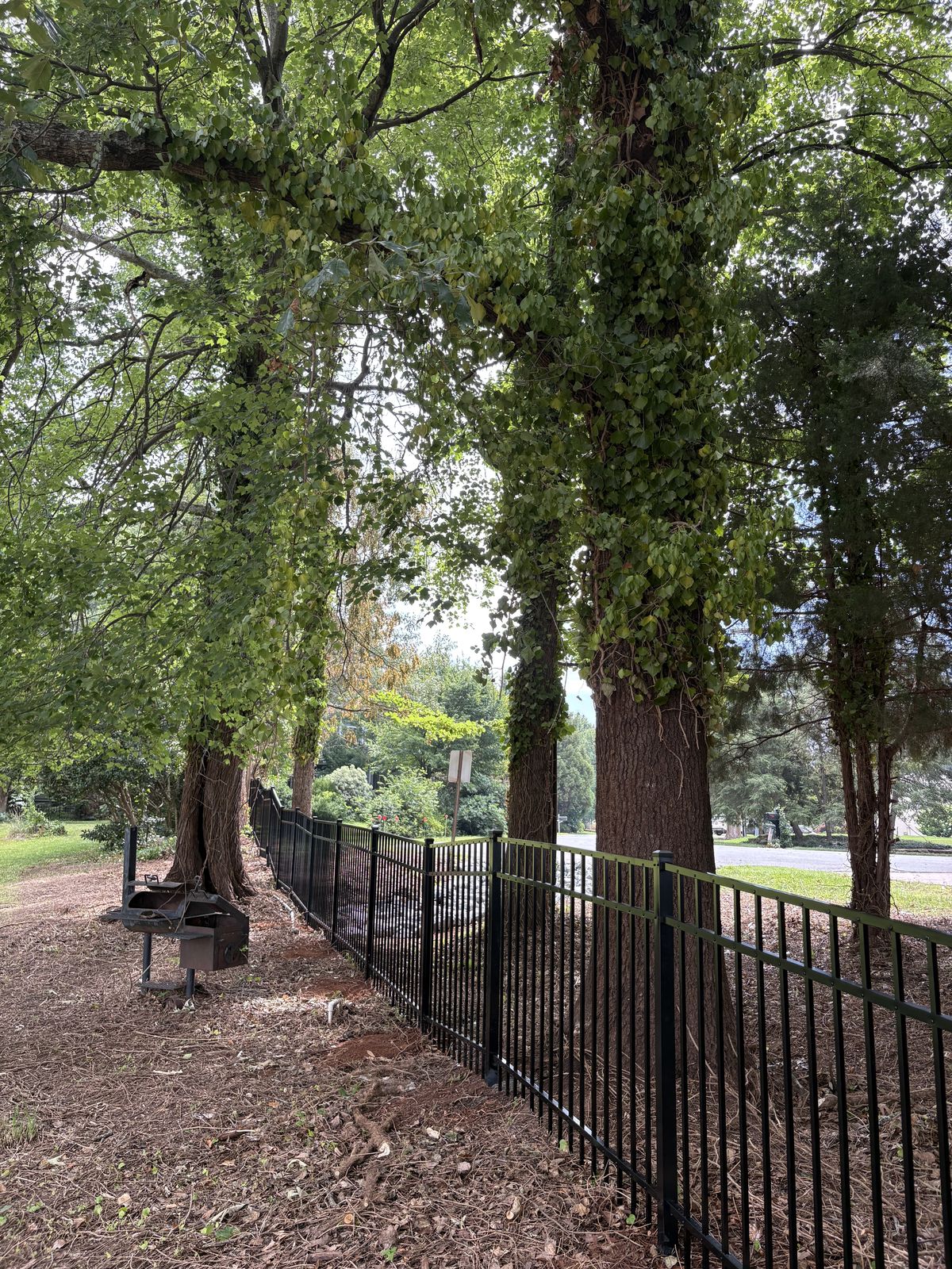 Black aluminum fence along wooded shoreline near Lake Norman, NC