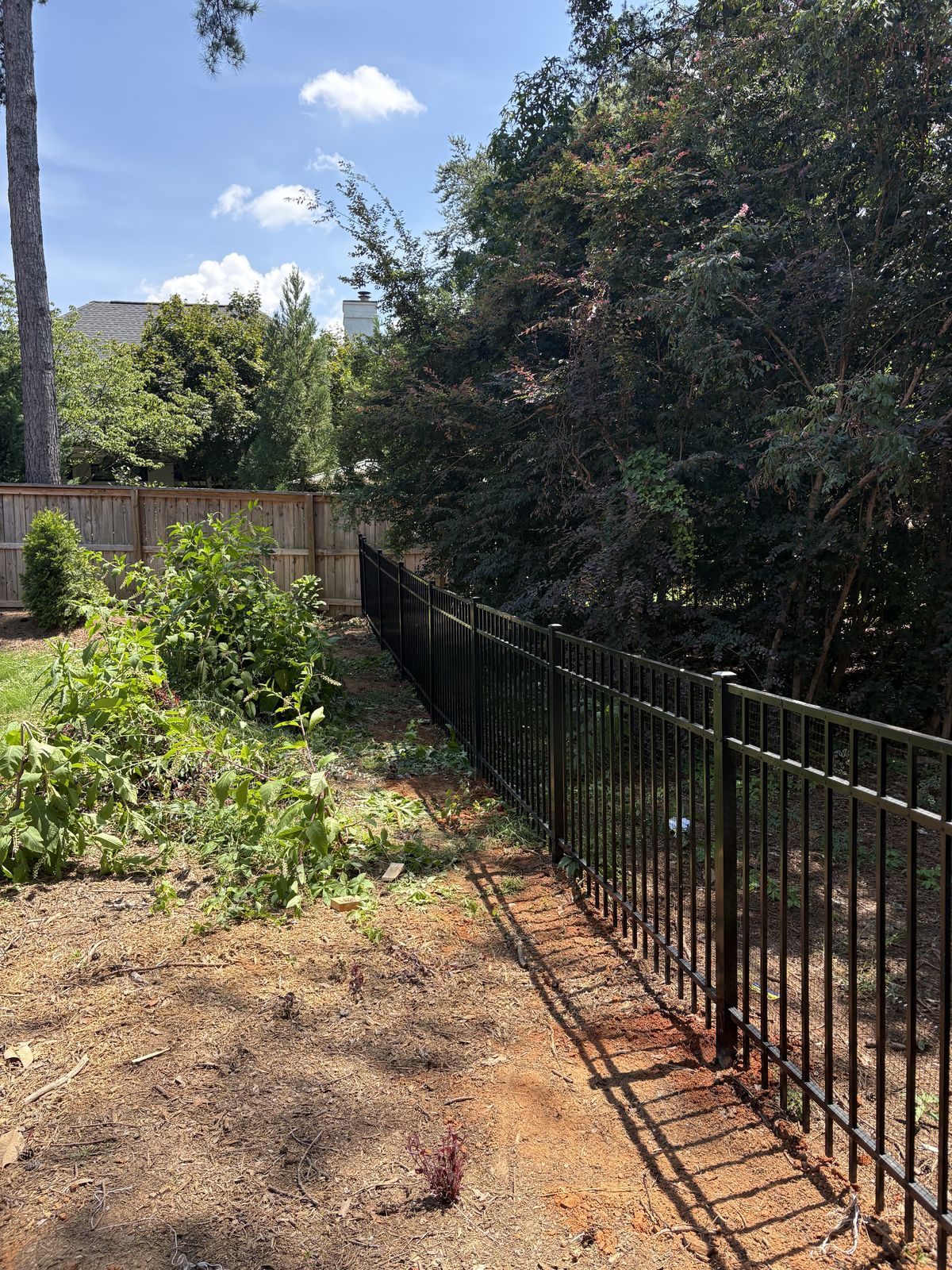 Black aluminum fence along tree-lined property near Lake Norman waterfront