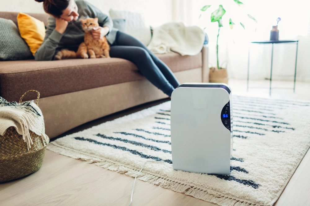 Portable dehumidifier in a large room.