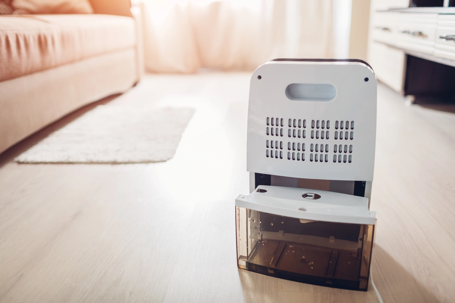 Dehumidifier for controlling relative humidity