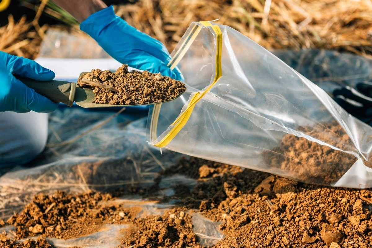 The effect of poor soil quality on grading.