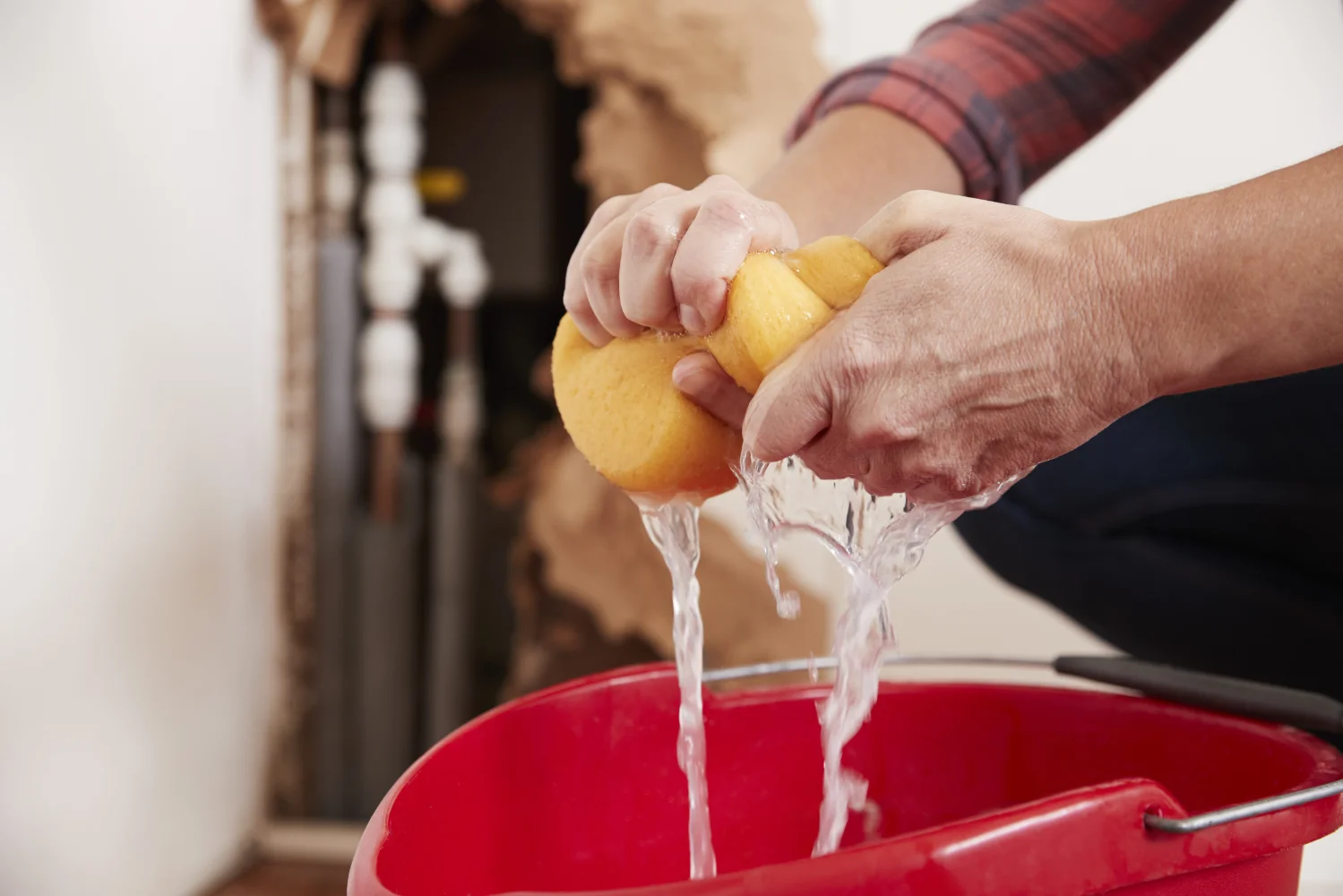 Collecting water from a pipe leak into a bucket.
