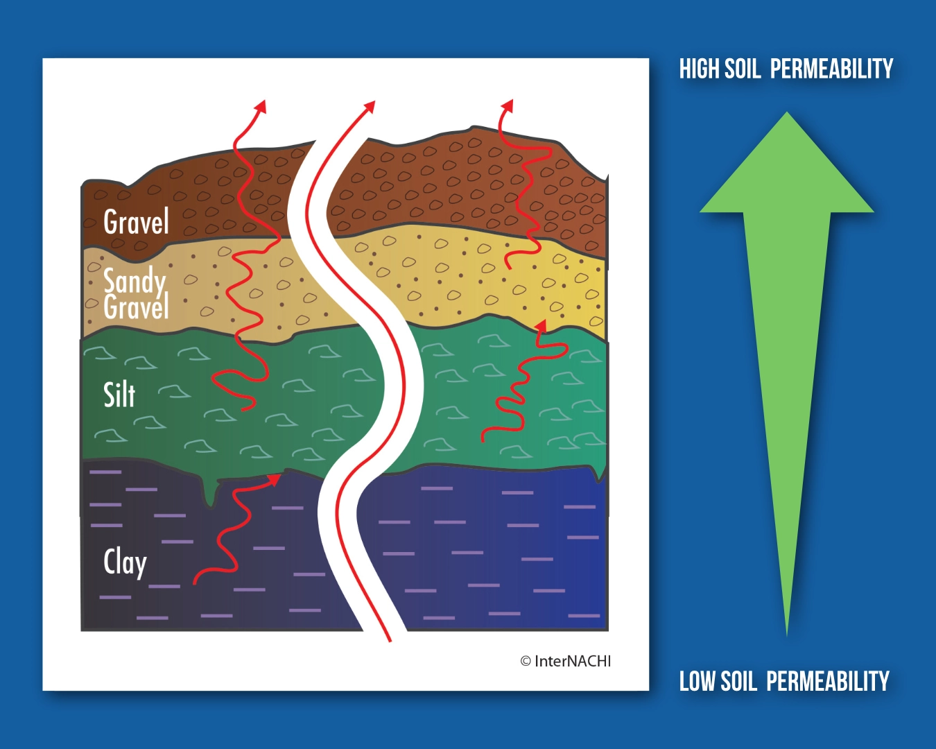 Soils with higher permeability allow radon to move more easily through them.