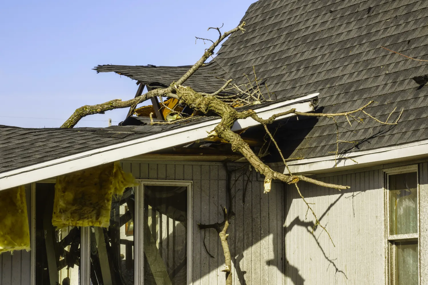 Weather Damage Restoration