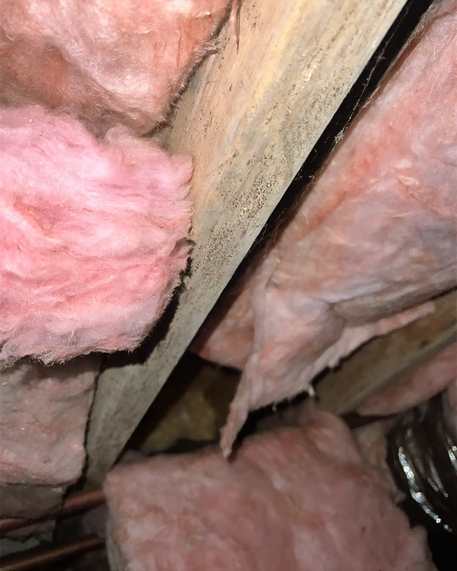 Mold growth in crawl space due to high relative humidity