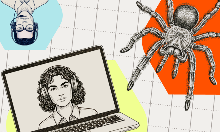 Illustration of call center representative person on video call and spider on top of geometric shapes