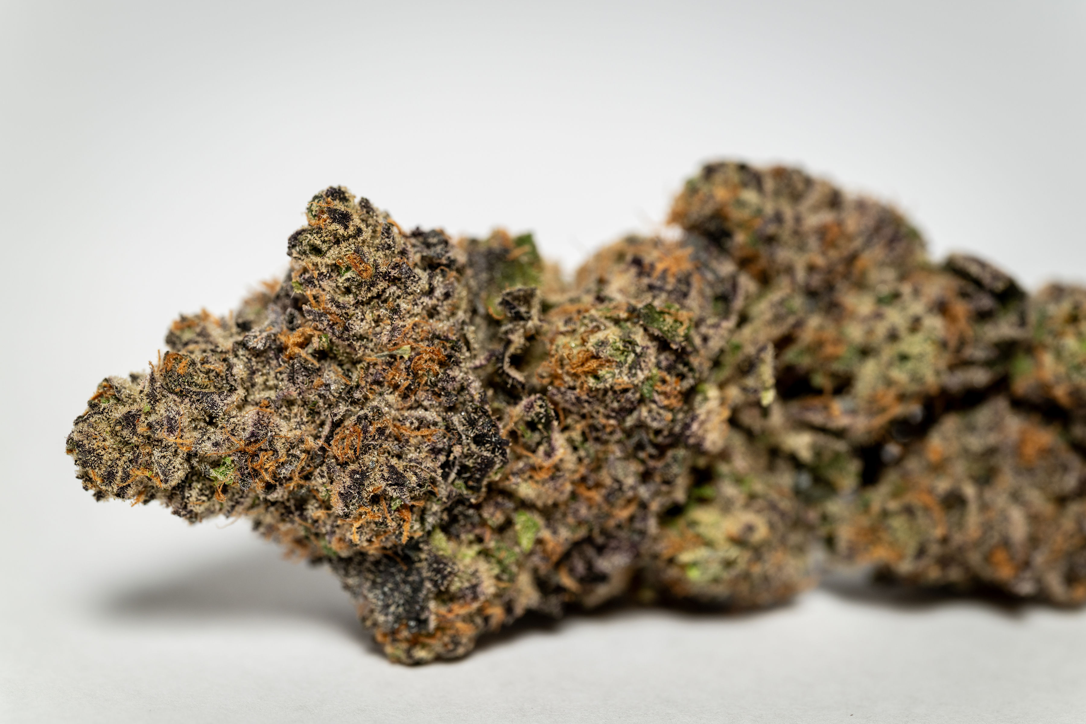 GOOD Alaskan Air flower