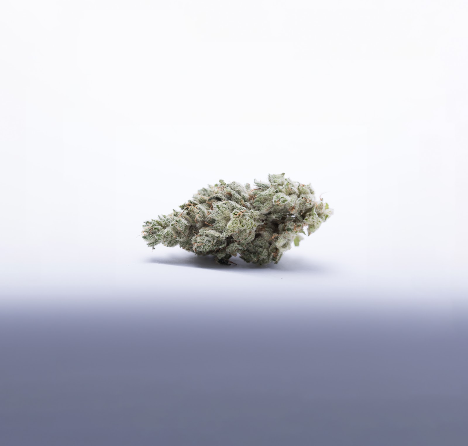 GOOD GG#4 flower