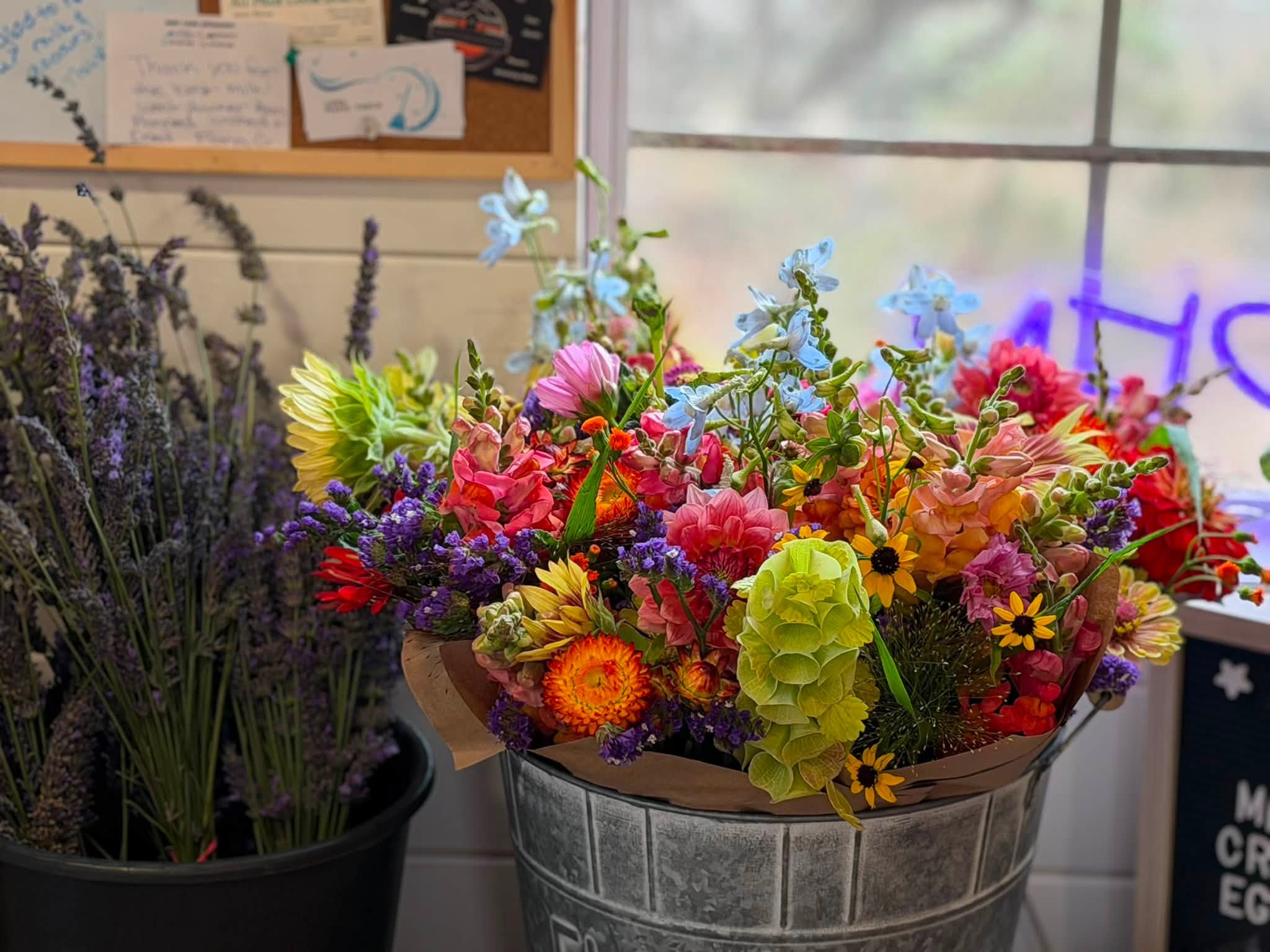 A galvanized bucket of mixed farm bouquets beside dried lavender in the Raven's View Farm farmstand