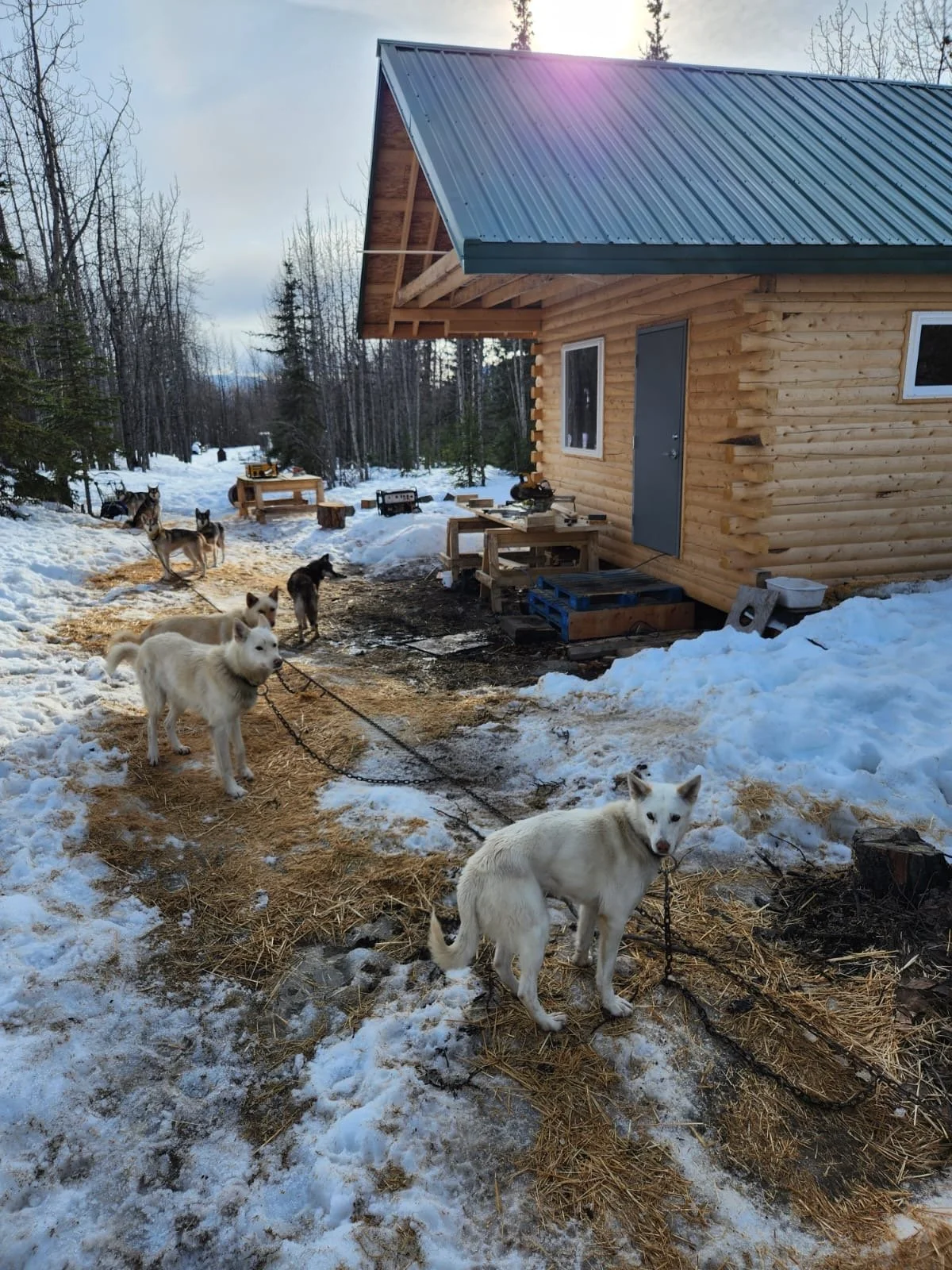 Some friends helping us set up shop earlier this year
