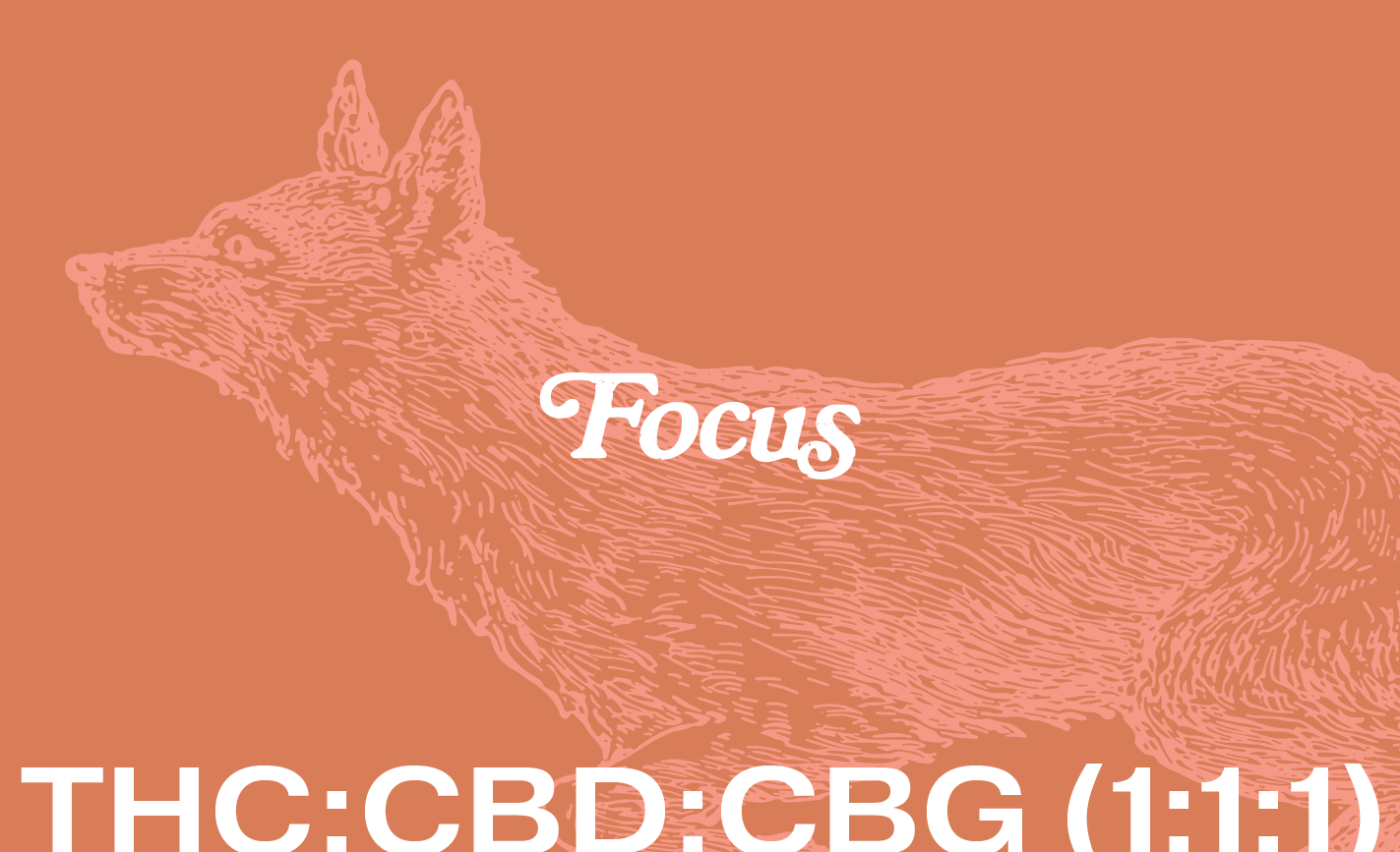 Focus Stay sharp. For those moments when clarity and calm are key, Focus steps in. This dynamic mix of THC, CBD, CBG, and functional terpenes sharpens your mind while keeping you grounded.