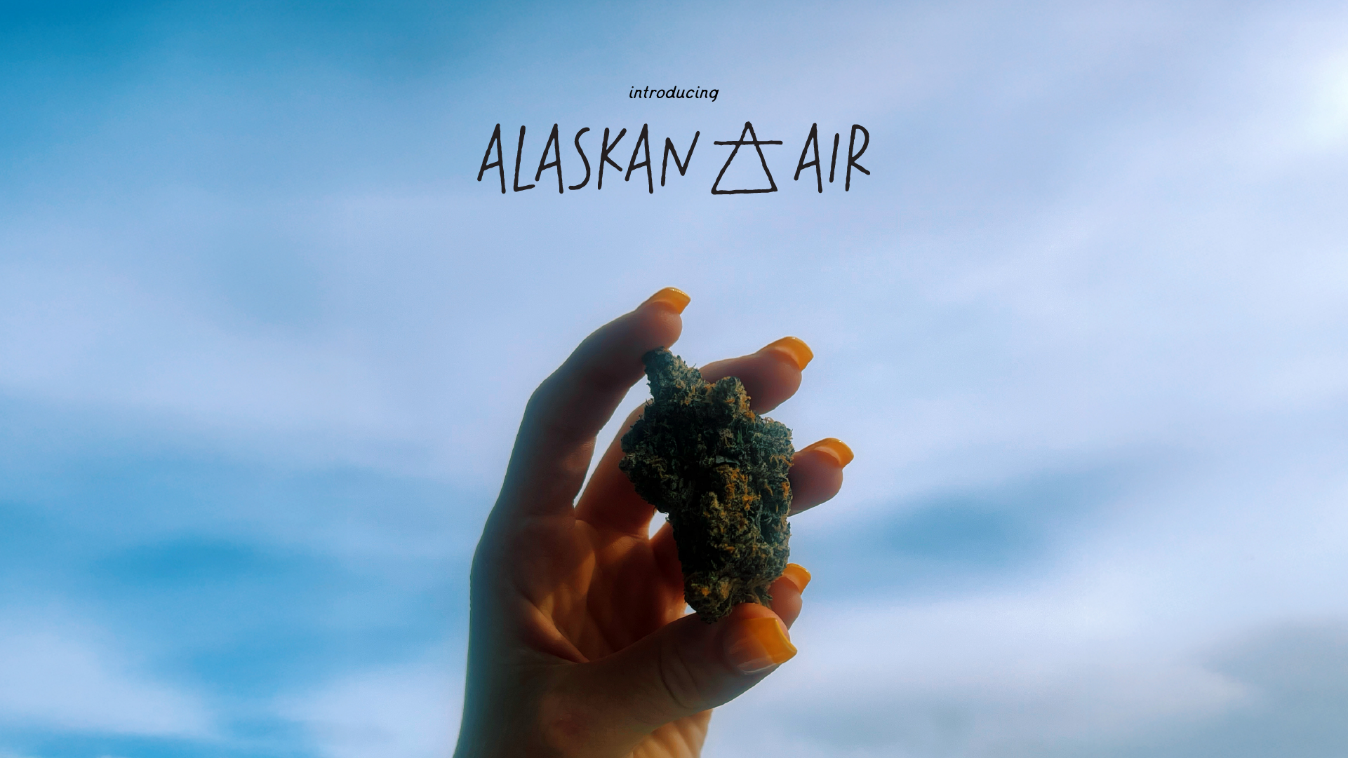 Introducing Alaskan Air