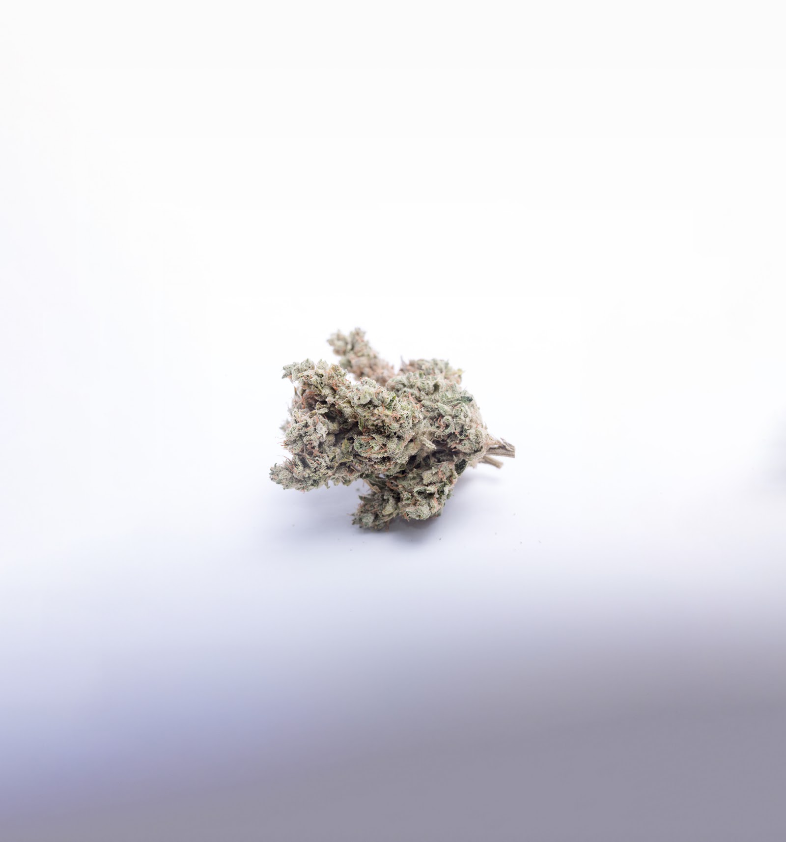 OG 18