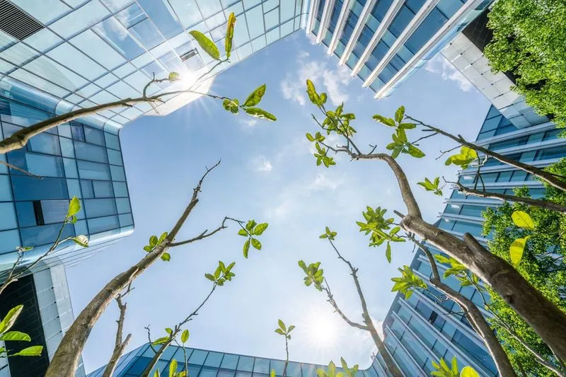 Étude de réduction de l'impact environnemental menée par l'AMJE