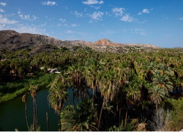 Mulege