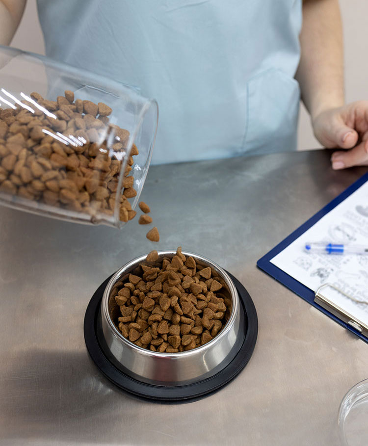 WISEcode Labs - pet food testing services