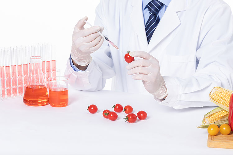 Food Testing services Lab