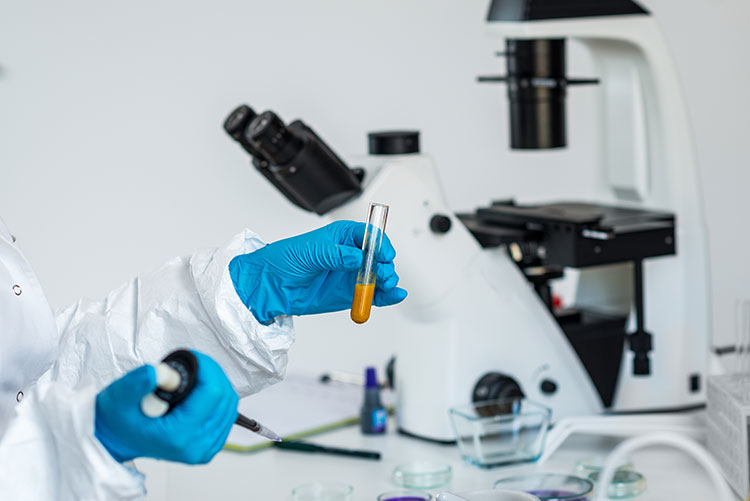 Third party testing services for curcumin