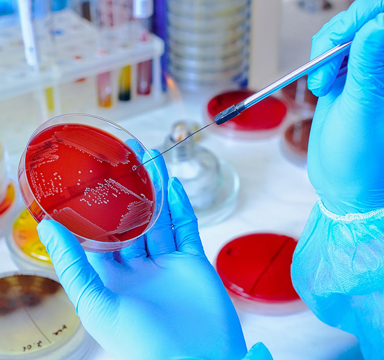 Microbiology testing lab in NC