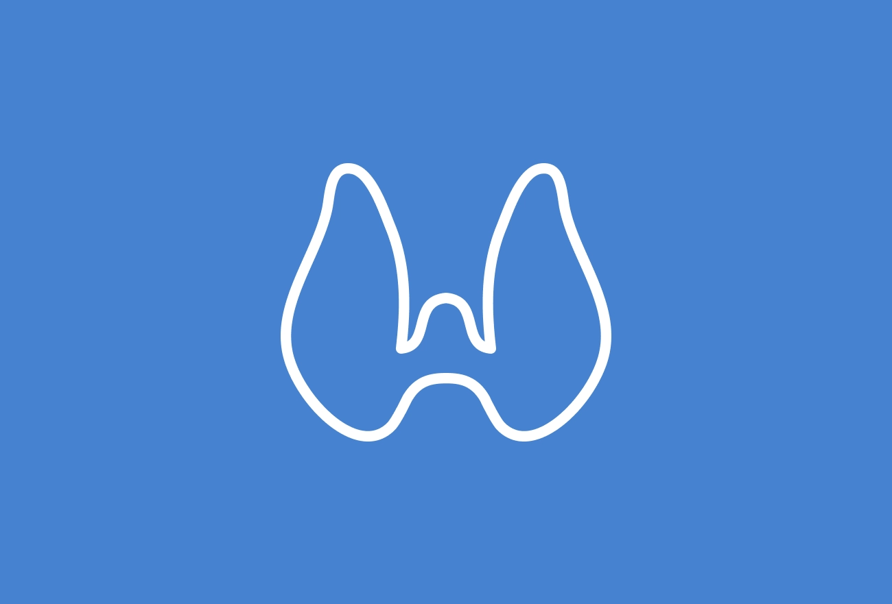 White thyroid gland icon on blue background depicting endocrine system anatomy