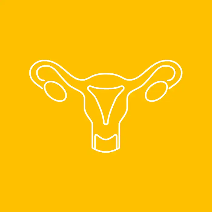 Polycystic Ovaries: Can You Get Pregnant?
