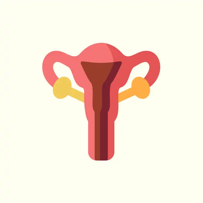 Polycystic Ovaries: is There a Cure?