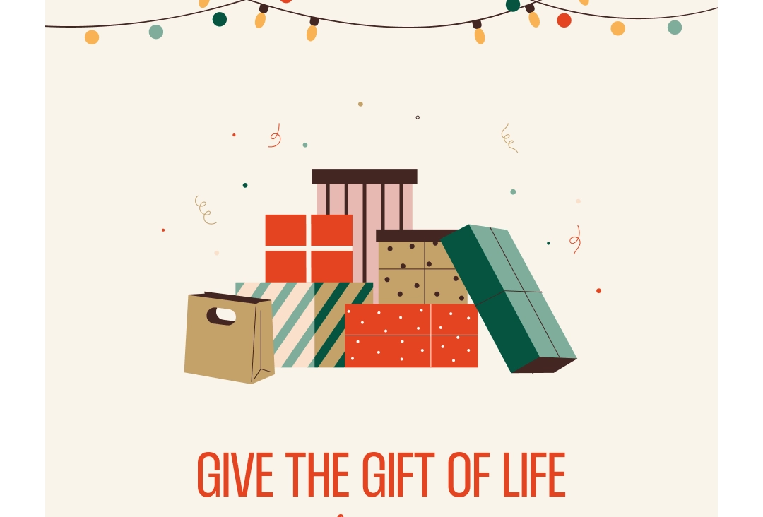 Colorful wrapped gifts and presents with text "Give the Gift of Life" and festive decorative lights
