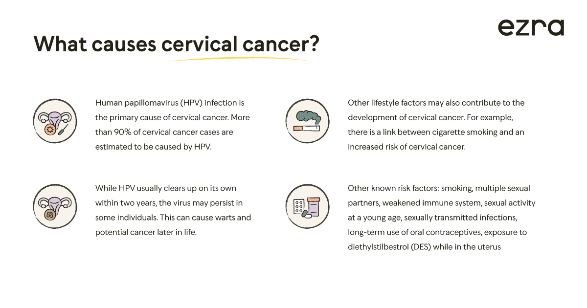 graphic about what causes cervical cancer