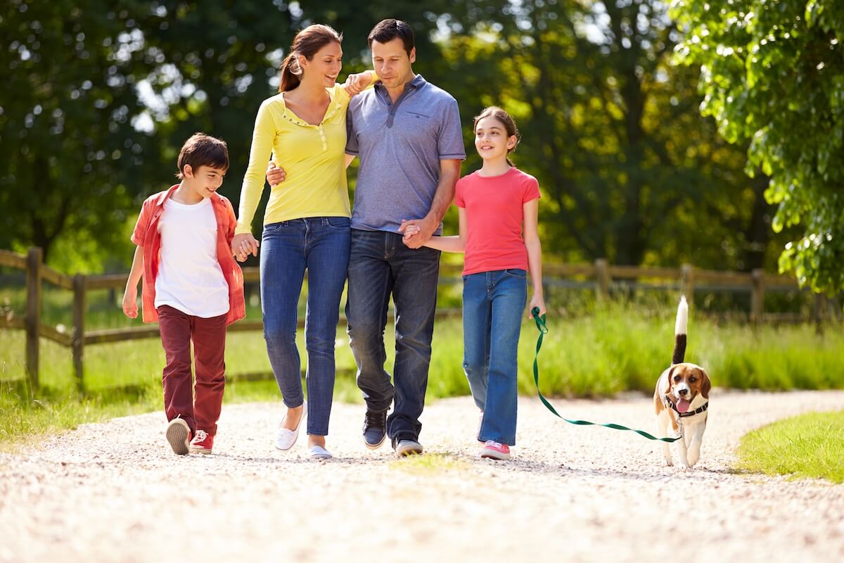 Family of four jogging on rural road with beagle dog in sunny countryside setting