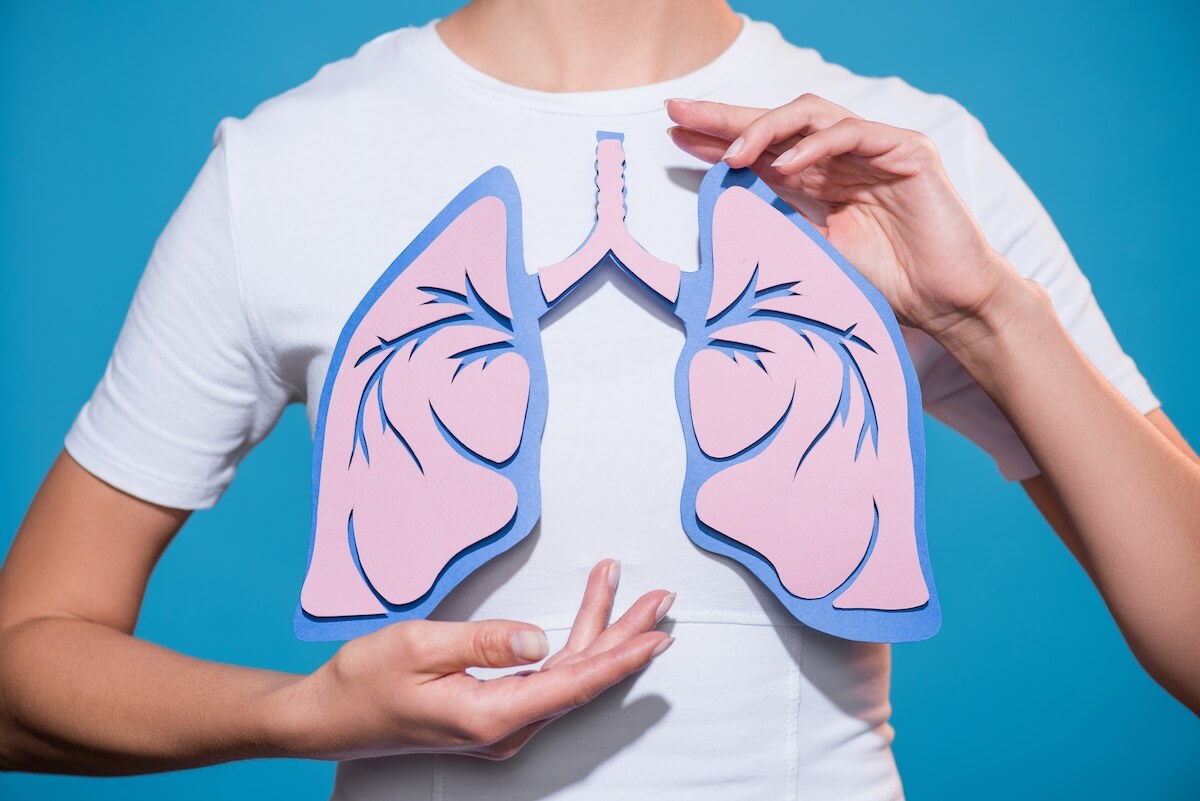 Person holding pink and blue paper lung model against white shirt on blue background, demonstrating respiratory anatomy